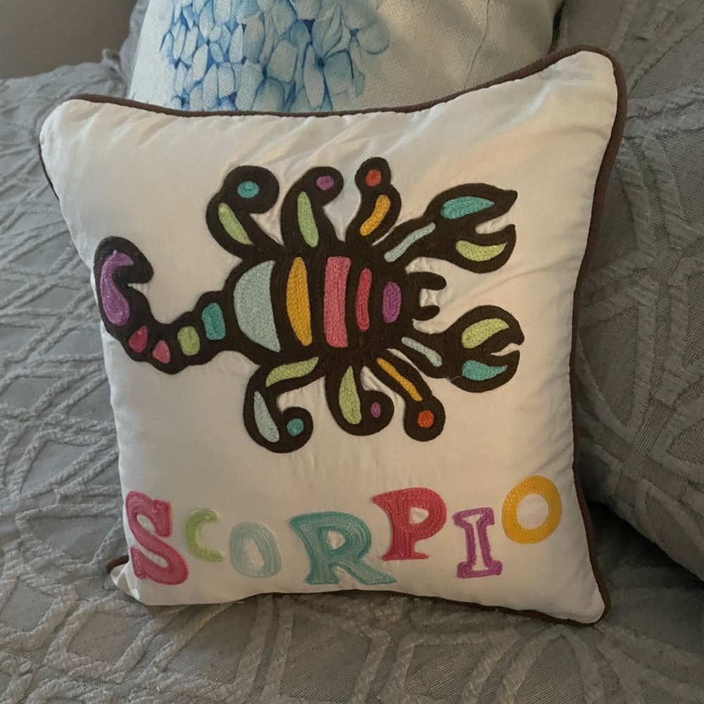 12x12 Scorpio ♏️ Pottery Barn Teen pillow cover